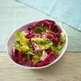 Radicchio-Salat mit Kresse