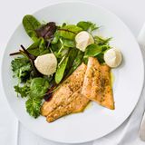 Saibling mit Fenchel-Mousse