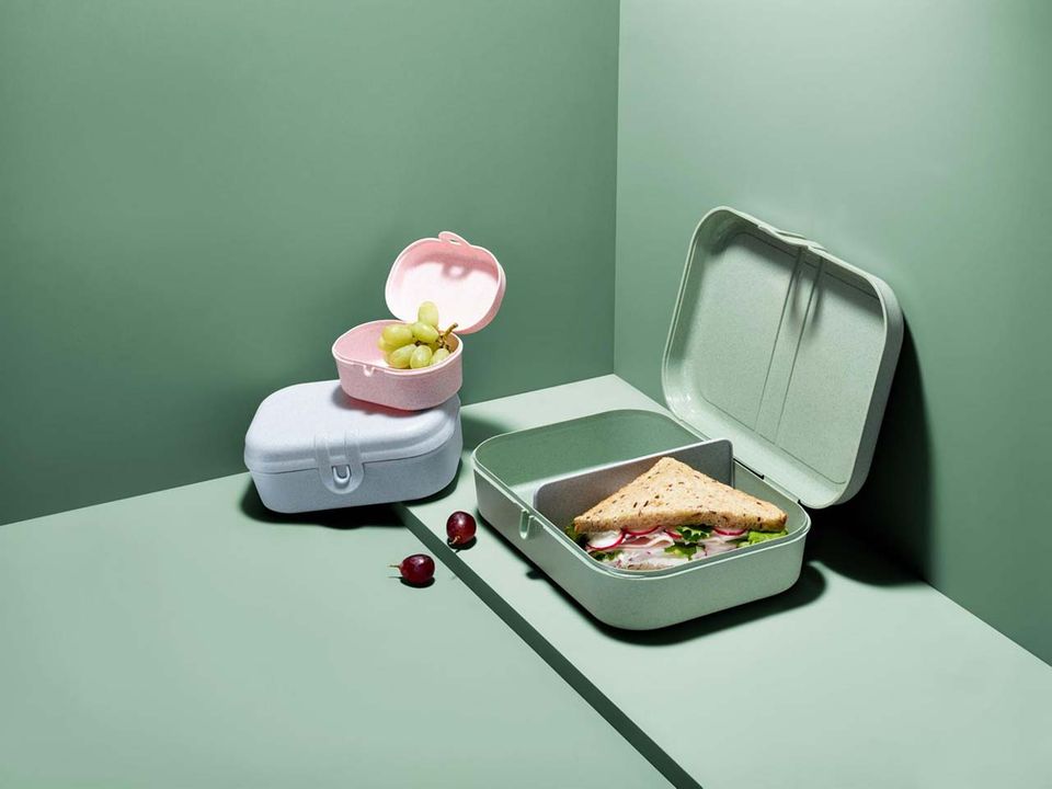 To-go-Dosen aus recyceltem Kunststoff und Cellulose To-go-Dosen aus recyceltem Kunststoff und Cellulose