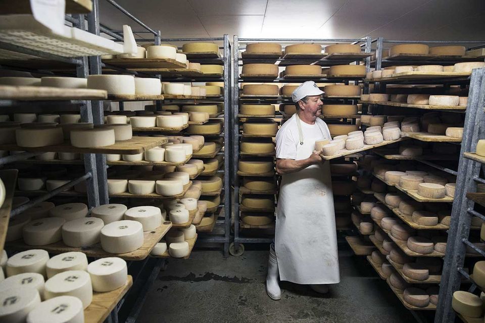 Käse auf der Alpkäserei Gerschnialp auf dem Alpkäse-Trail im Schweizer Engelberg Käse auf der Alpkäserei Gerschnialp auf dem Alpkäse-Trail im Schweizer Engelberg
