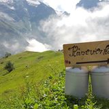 Alpkäserei Surenen Schweiz