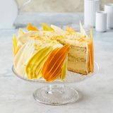 Mango-Brushstroke-Torte