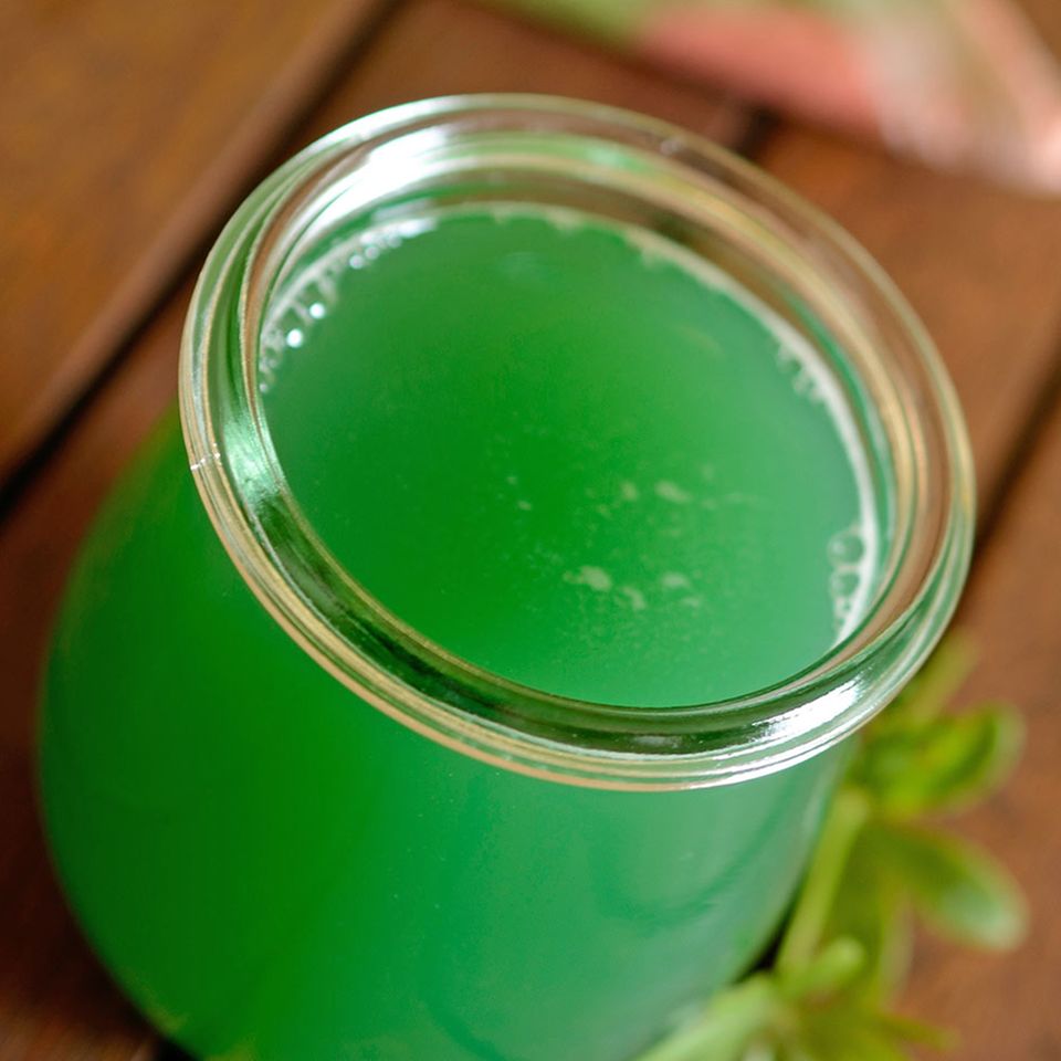 Waldmeistersirup selber machen - [ESSEN UND TRINKEN]