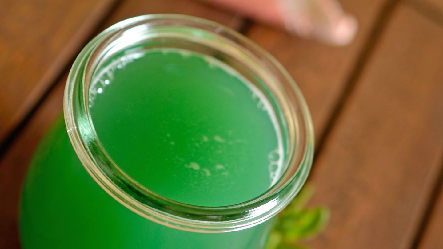 Waldmeistersirup selber machen