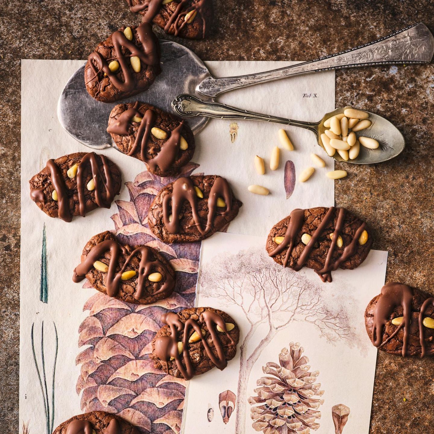 Schokoladen-Pininekern-Kekse