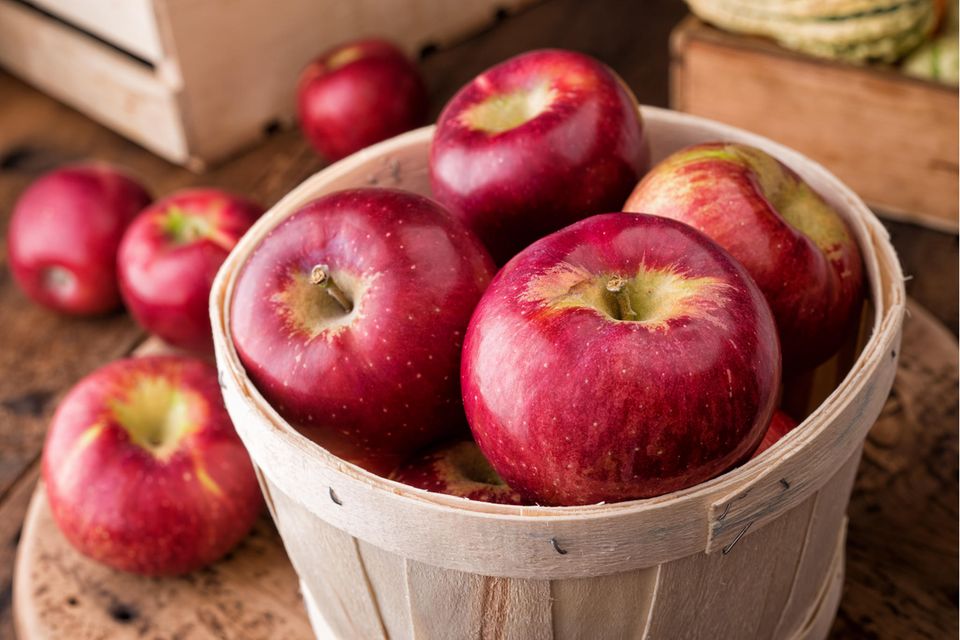 Frisch geerntete rote Äpfel Frisch geerntete rote Äpfel
