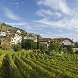 Dorf Epesses im Weinbaugebiet Calamin