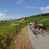 Bonvillars Panorama Radfahrer Genfer See