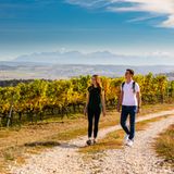 Weinberg Wanderung Côtes de L'orbe Schweiz