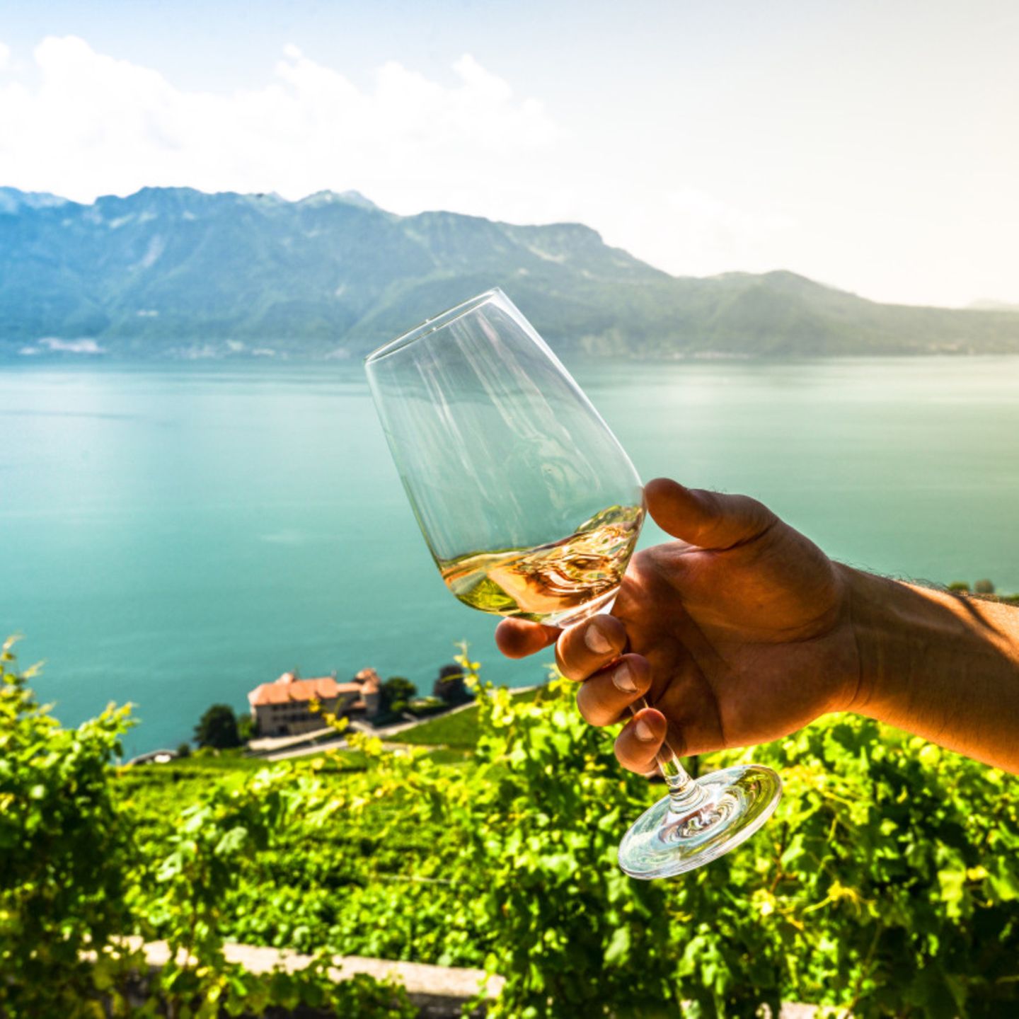 Weißwein draußen Genfer See