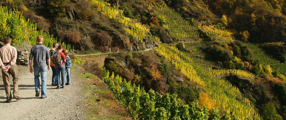 Auch Touristen schätzten das Ahrtal für seine romantischen Weinwanderwege. Auch Touristen schätzten das Ahrtal für seine romantischen Weinwanderwege.