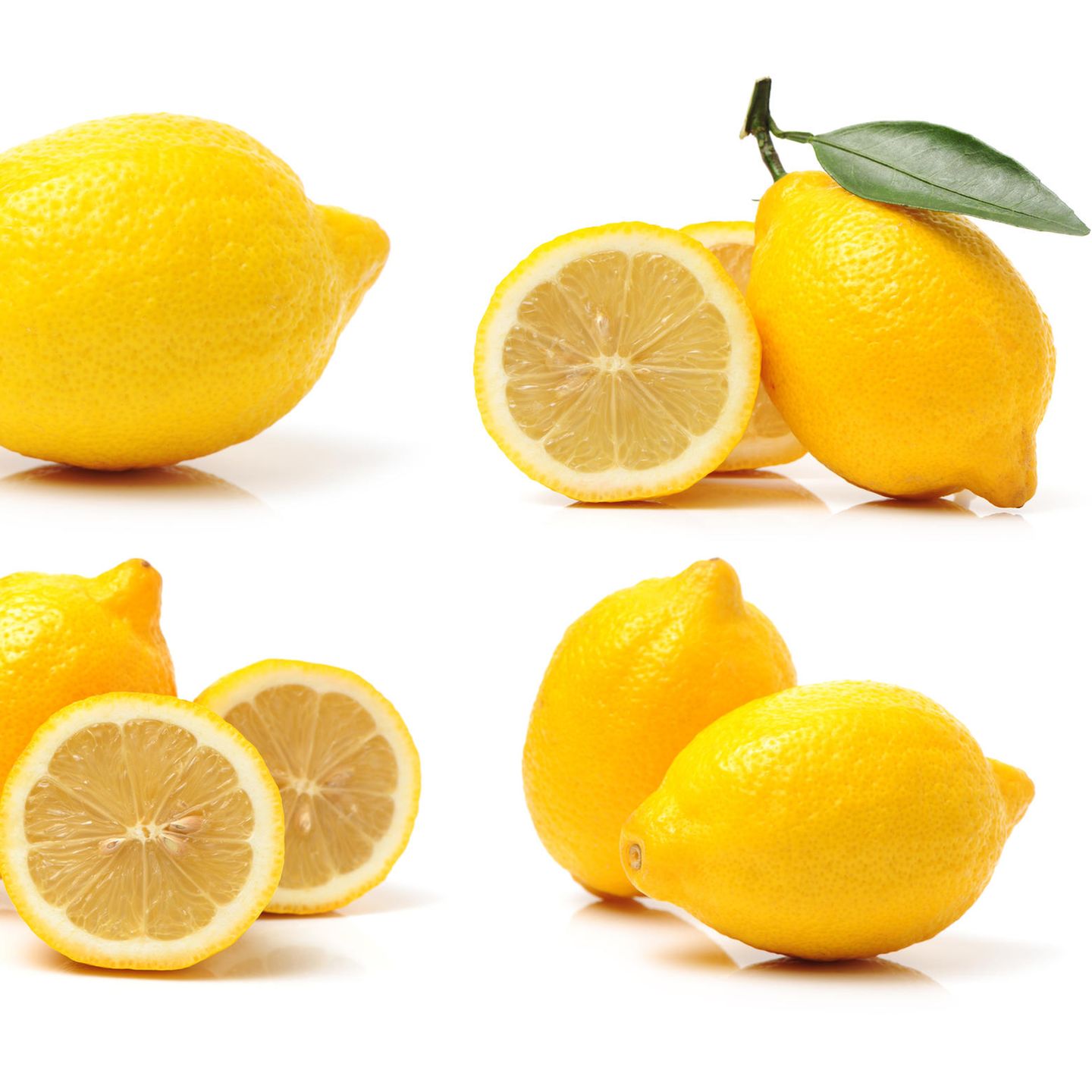 Freisteller Zitrone
