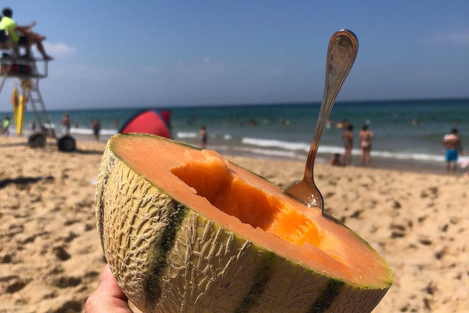 Cantalupe-Melone am Meer
